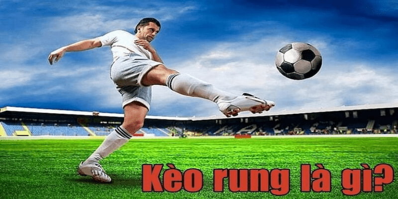 Bạn có thể tham khảo các ví dụ trên để hiểu rõ hơn về kèo rung