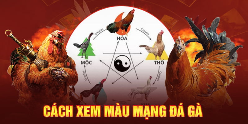 Cách xem màu mạng của gà dựa theo các giờ trong ngày