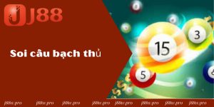 Soi Cầu Bạch Thủ